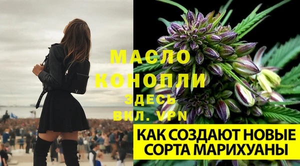 PSILOCYBIN Абаза