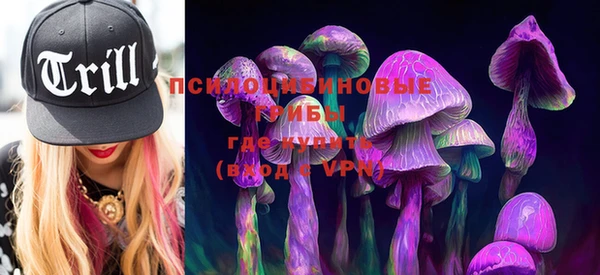PSILOCYBIN Абаза