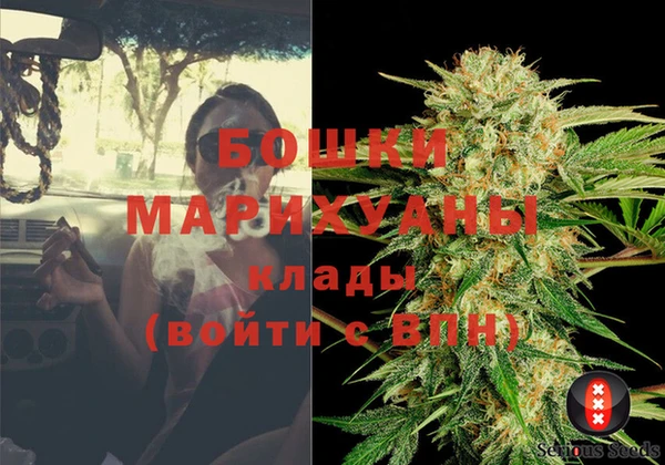 PSILOCYBIN Абаза