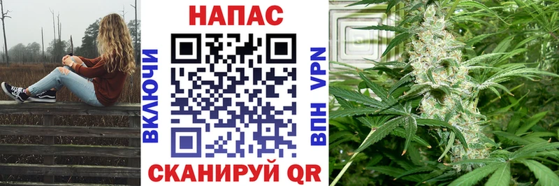 Каннабис Ganja  Новосиль 
